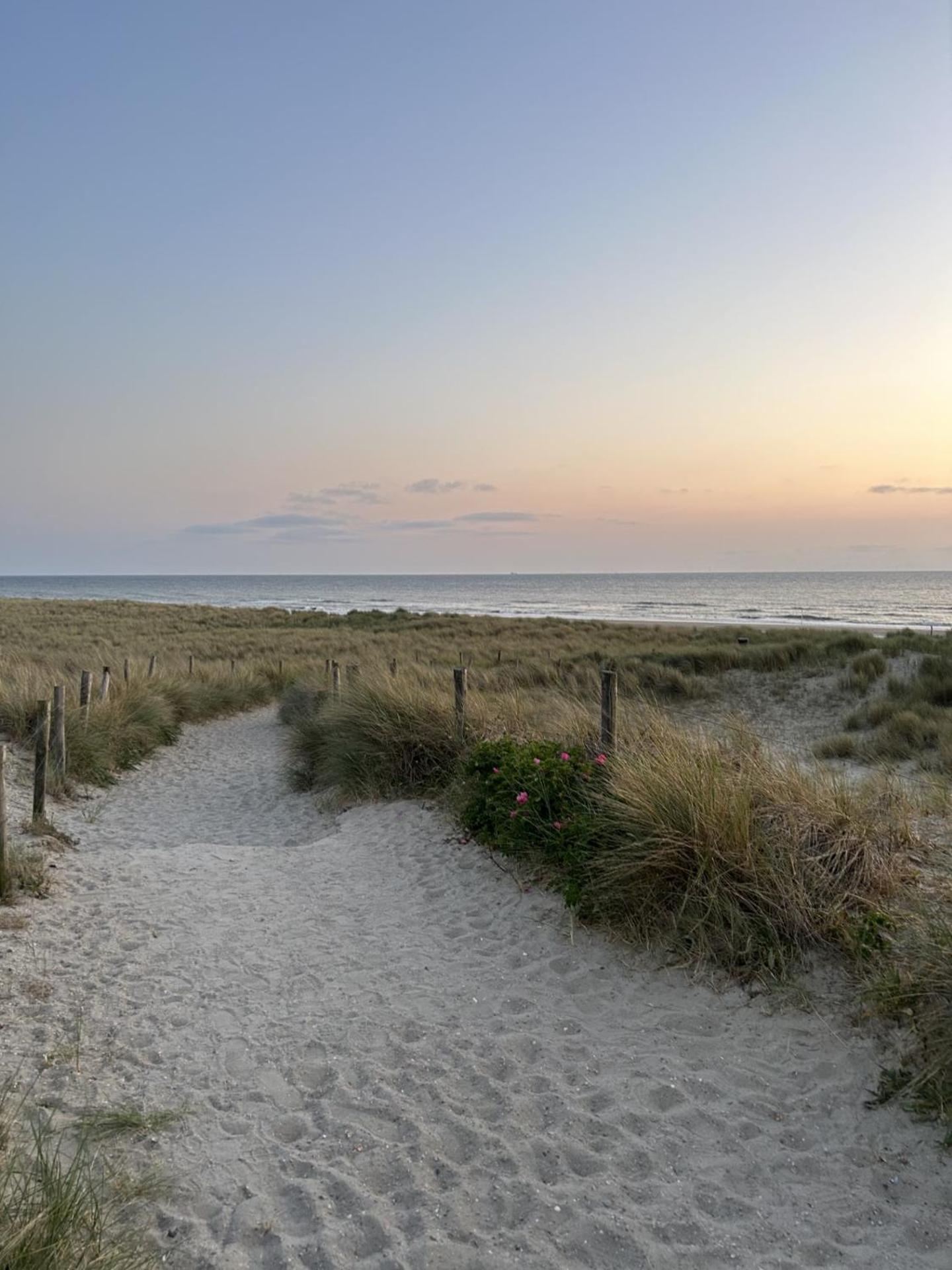 Breezy Beach Chalet Petten Eksteriør billede