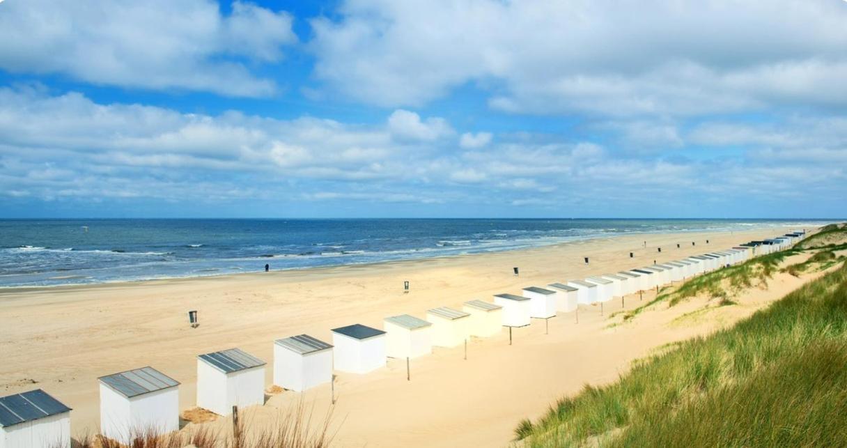 Breezy Beach Chalet Petten Eksteriør billede
